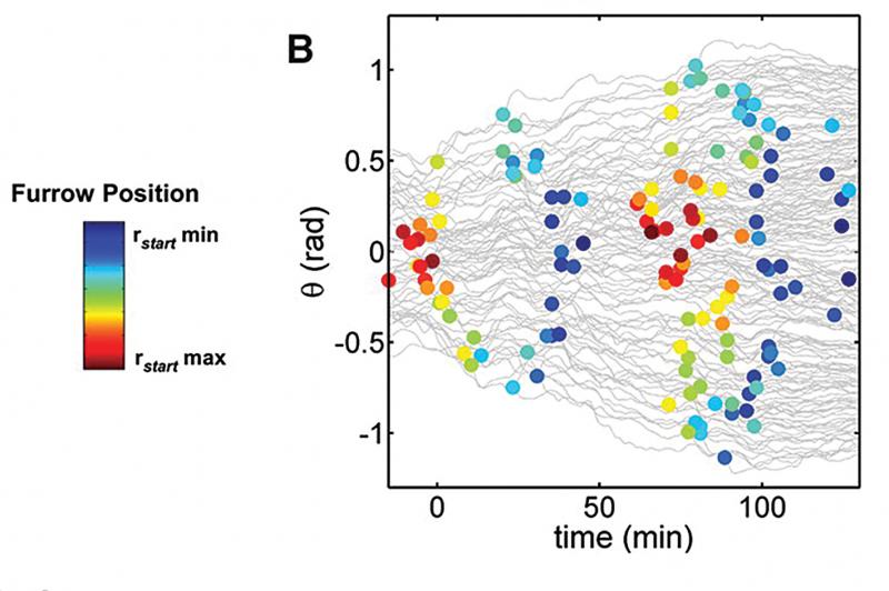 http://biomedicalcomputationreview.org/content/visualization-space-and-time-seamless-pipelines-now-available